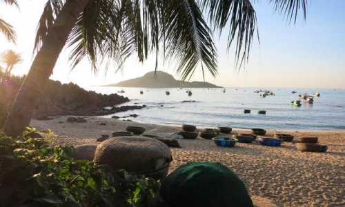 Frond imaginings … the view from Haven Guesthouse at Bai Xep, near Quy Nho’n