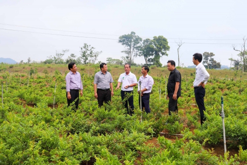 Khảo sát xây dựng sản phẩm du lịch tại huyện An Lão tỉnh Bình Định