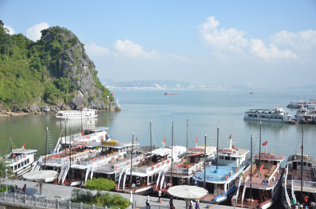 atf halong