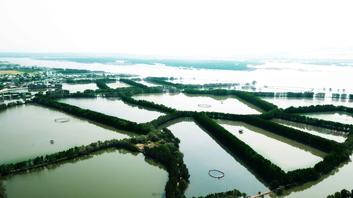 rung nuoc dam thi nai